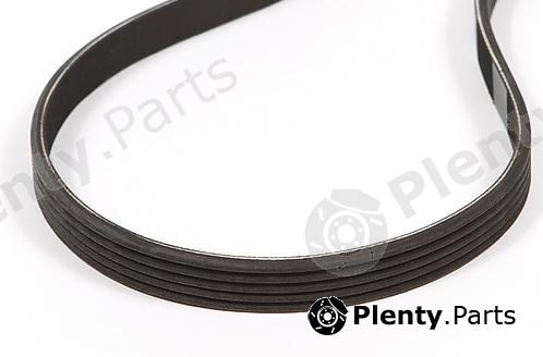  TSN part 10174 Replacement part