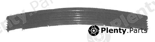  TYG part BM99018GA Replacement part