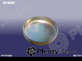 Genuine CHERY part 4801003017 Replacement part