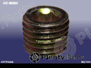 Genuine CHERY part 481F1003034 Replacement part