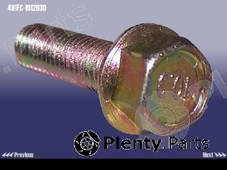 Genuine CHERY part 481FC1012030 Replacement part