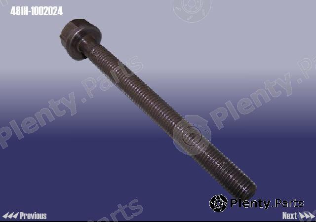 Genuine CHERY part 481H1002024 Replacement part