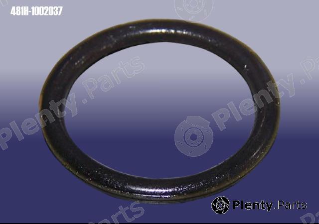 Genuine CHERY part 481H1002037 Replacement part