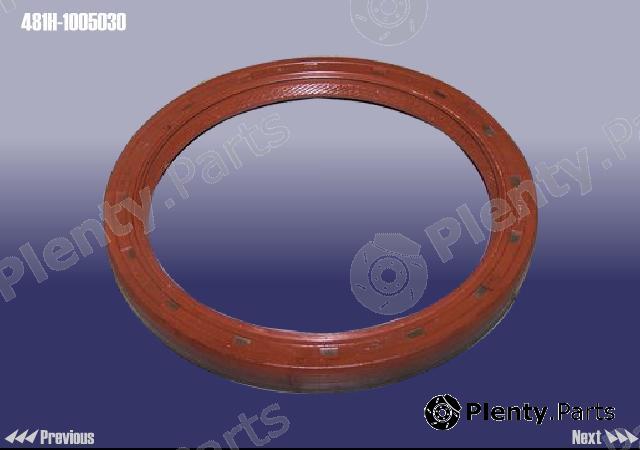 Genuine CHERY part 481H1005030 Replacement part