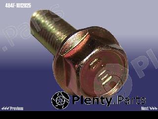 Genuine CHERY part 484F1012025 Replacement part