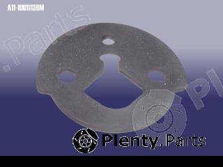 Genuine CHERY part A111001113BM Replacement part