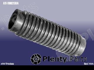 Genuine CHERY part A111109213DA Replacement part