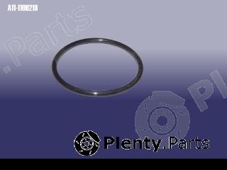 Genuine CHERY part A111109219 Replacement part