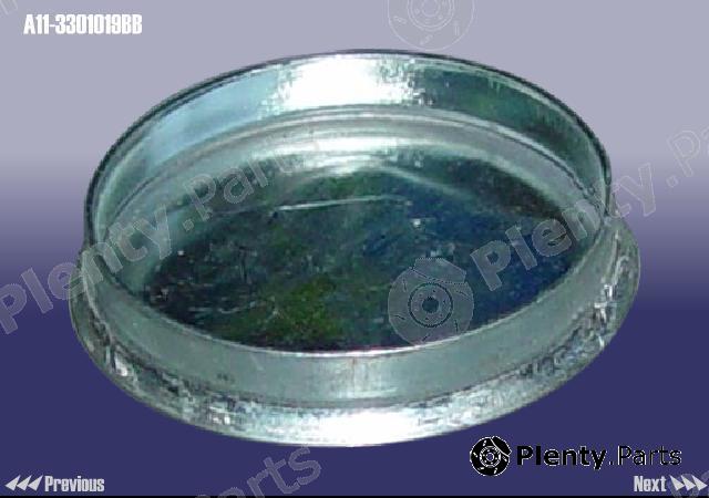 Genuine CHERY part A113301019BB Replacement part