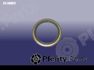 Genuine CHERY part A113406111 Replacement part
