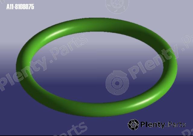 Genuine CHERY part A118108075 Replacement part