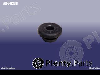 Genuine CHERY part A118402231 Replacement part