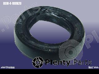 Genuine CHERY part BS1041601820 Replacement part