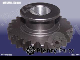 Genuine CHERY part QR513MHA1701600 Replacement part