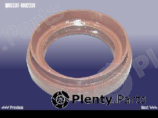 Genuine CHERY part QR523T1802231 Replacement part