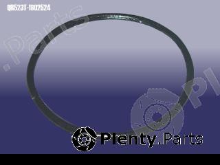 Genuine CHERY part QR523T1802524 Replacement part