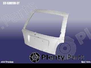 Genuine CHERY part S116300100DY Replacement part