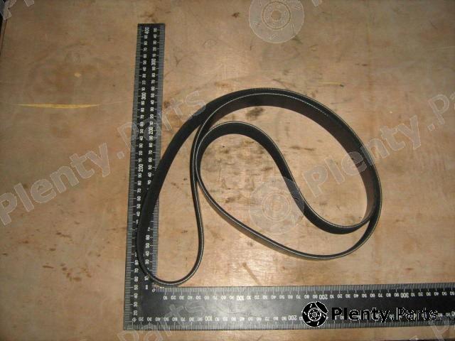 Genuine IVECO part 504056043 V-Ribbed Belts