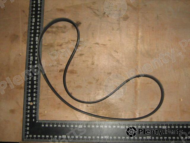Genuine IVECO part 504129824 V-Ribbed Belts