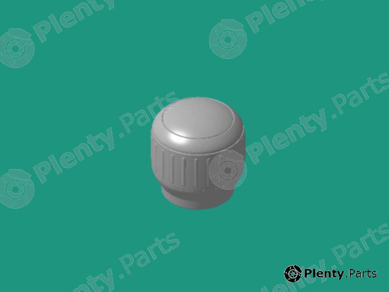 Genuine HYUNDAI / KIA (MOBIS) part 437110U300RY Replacement part