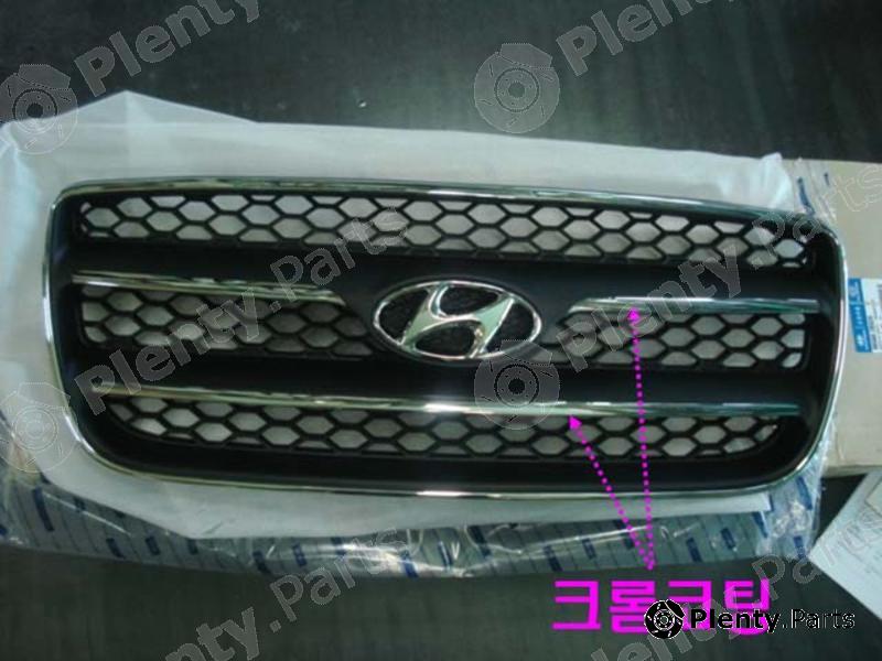 Genuine HYUNDAI / KIA (MOBIS) part 865602B020 Radiator Grille