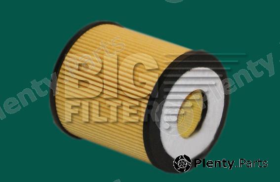  BIG FILTER part GB1218 Replacement part