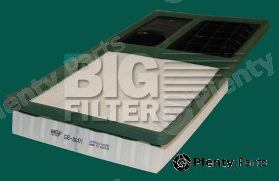  BIG FILTER part GB8001 Replacement part