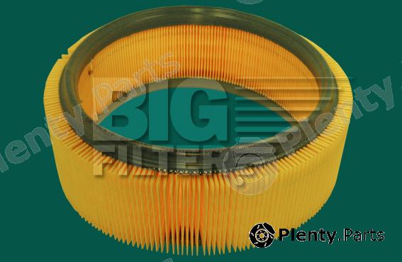  BIG FILTER part GB9113 Replacement part