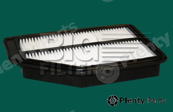  BIG FILTER part GB920 Replacement part