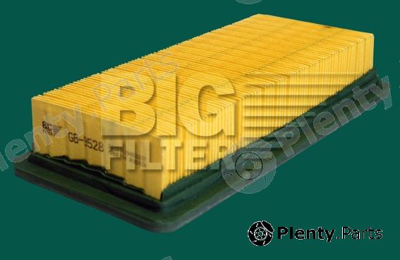  BIG FILTER part GB9528 Replacement part