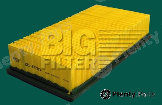  BIG FILTER part GB9791 Replacement part