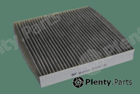  BIG FILTER part GB9919C Replacement part