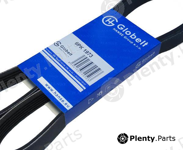  HANSE part 6PK1973 Replacement part