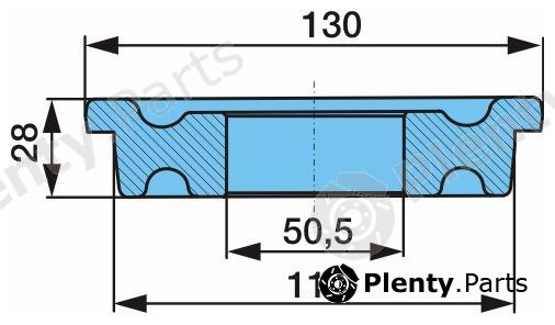 Genuine BPW part 03.113.06.10.0 (0311306100) Replacement part
