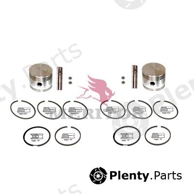  TRUCKTECHNIC part BSK11RPSTD Replacement part