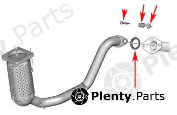 CITROEN PEUGEOT EXHAUST FITTING KIT GASKET BOLTS & SPRINGS* FAST DISPATCH *