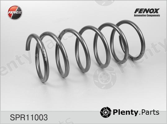  FENOX part SPR11003 Coil Spring