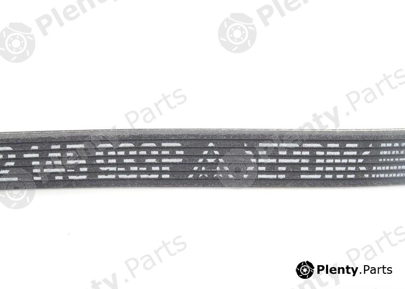 Genuine PORSCHE part 95510293300 V-Ribbed Belts