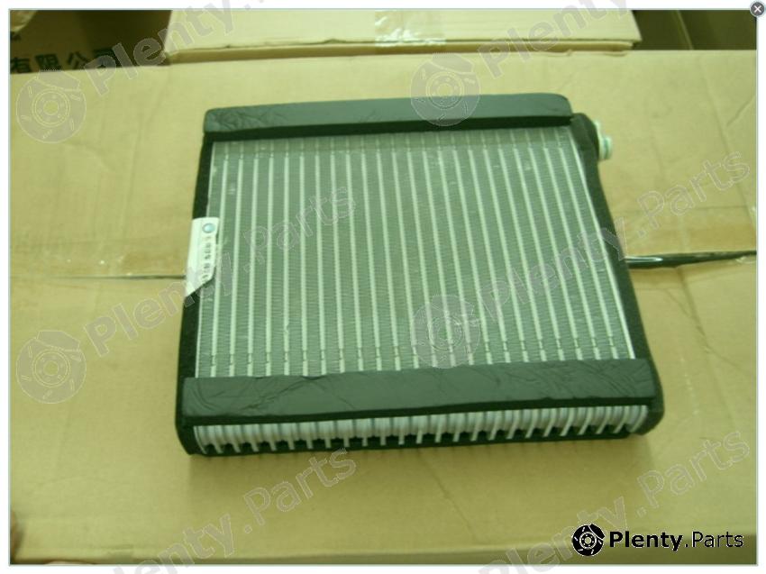 Genuine GEELY part 1067000250 Replacement part
