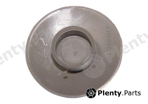 Genuine CHERY part A155305013BH Replacement part