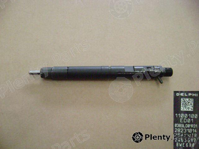 Genuine GREAT WALL part 1100100-ED01 (1100100ED01) Nozzle and Holder Assembly