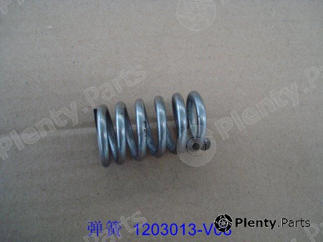 Genuine GREAT WALL part 1203013V08 Replacement part