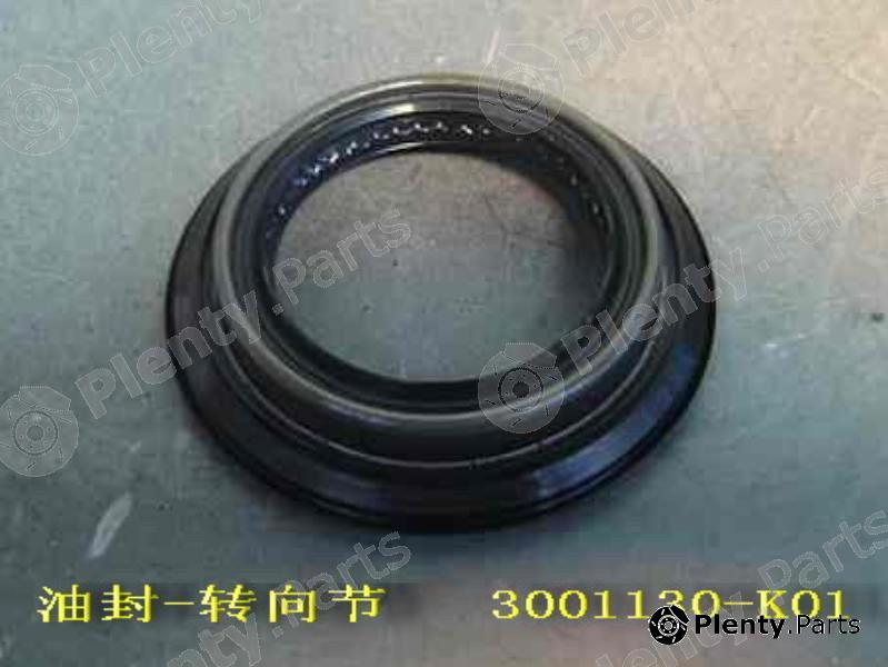 Genuine GREAT WALL part 3001130K01 Replacement part