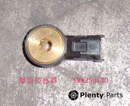 Genuine GREAT WALL part SMW250130 Replacement part