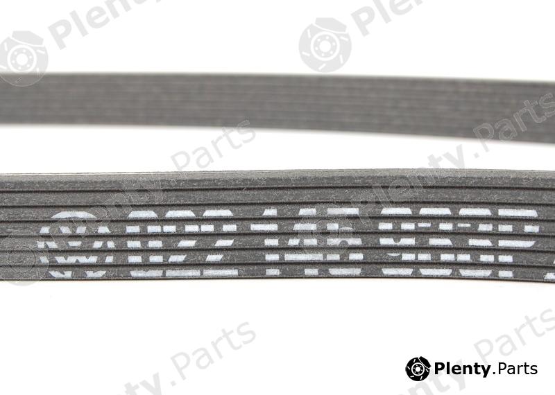 Genuine VAG part 022145933P V-Ribbed Belts