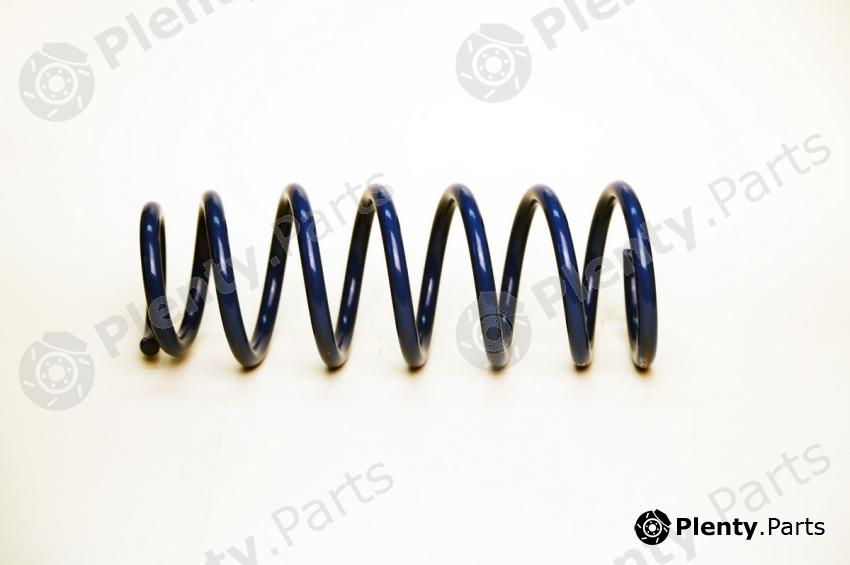  TORQUE part TS5031 Coil Spring