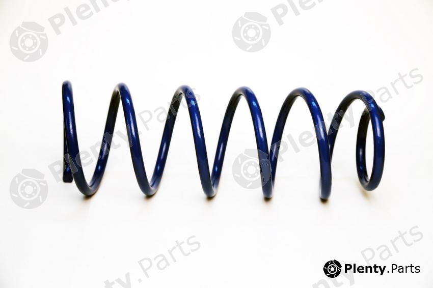  TORQUE part TS5033 Coil Spring