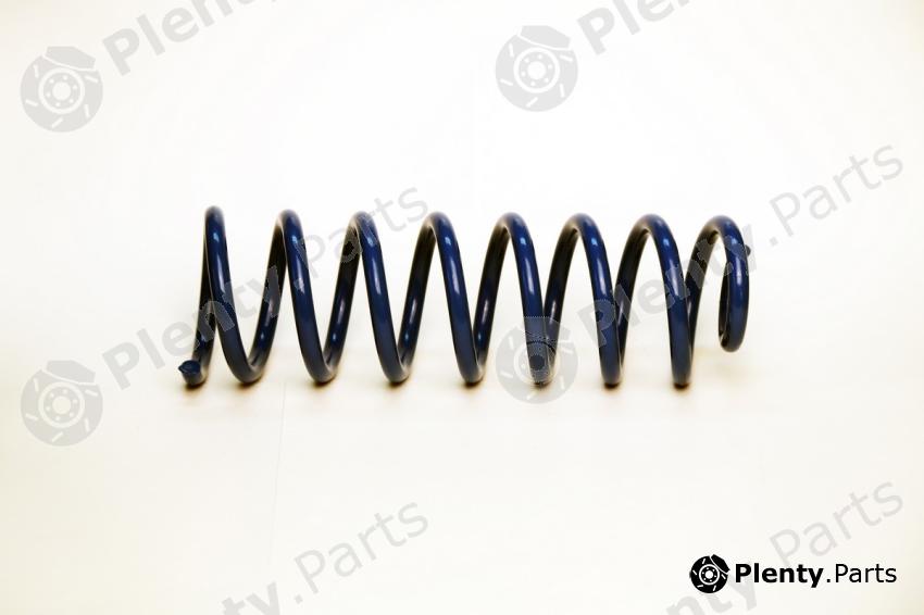  TORQUE part TS5036 Coil Spring
