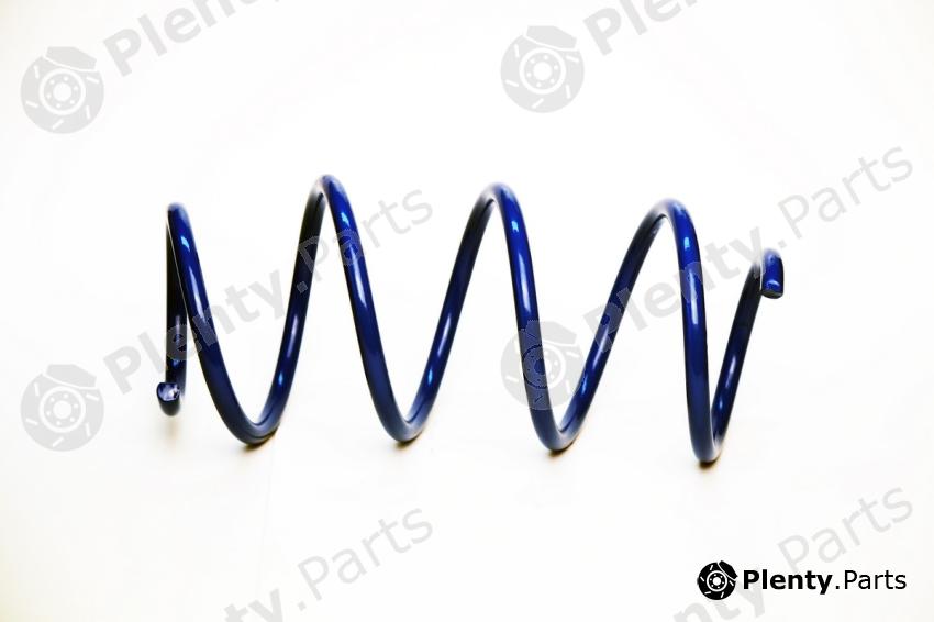  TORQUE part TS5039 Coil Spring