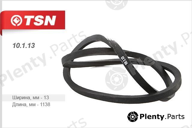  TSN part 10113 Replacement part